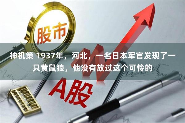 神机策 1937年，河北，一名日本军官发现了一只黄鼠狼，他没有放过这个可怜的
